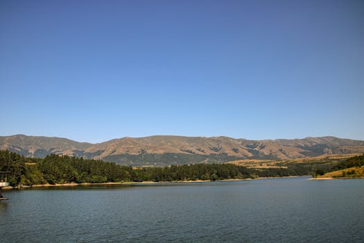 Top Sofia Neighborhoods for Young Professionals: A 2024 Rental Guide