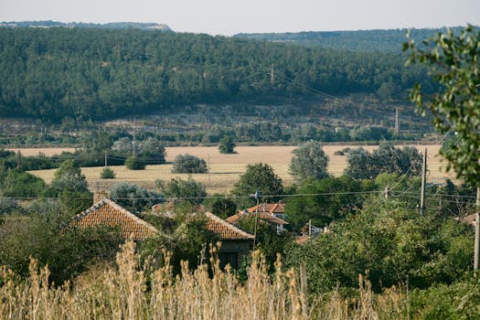 City vs. Countryside: Exploring Rent Differences in Bulgaria