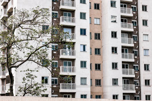 Thriving in Bulgaria: A Comprehensive Guide to Renting Your First Home